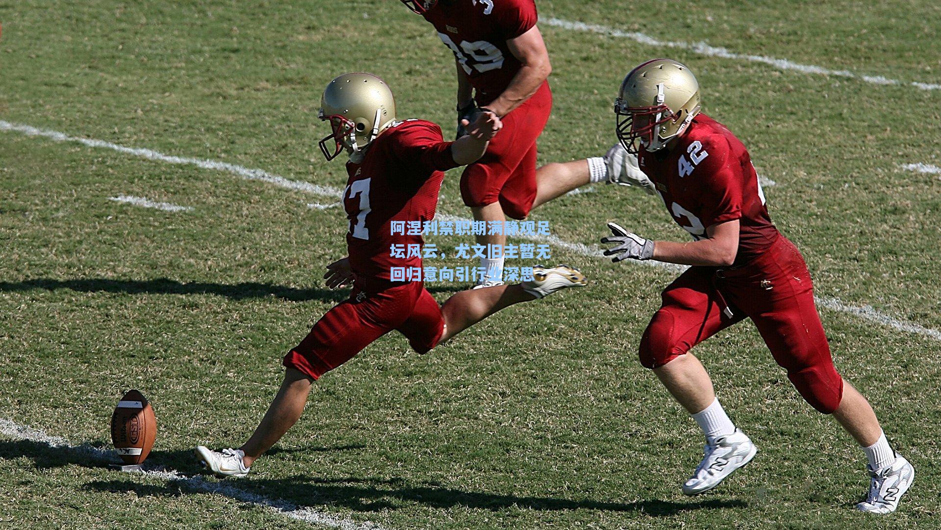 阿涅利禁职期满静观足坛风云,尤文旧主暂无回归意向引行业深思