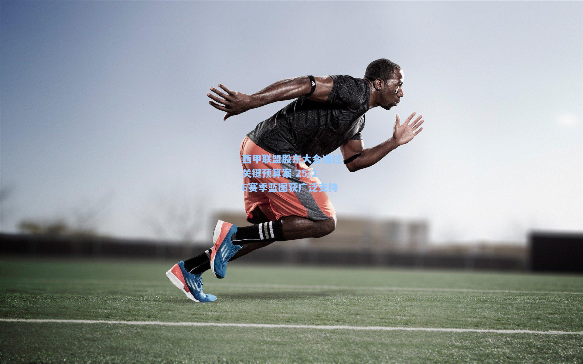 西甲联盟股东大会通过关键预算案 25/26赛季蓝图获广泛支持